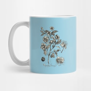 Botanical Illustration_Tea Plant. Mug